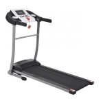 Recenzii pe scurt: FitTronic L300