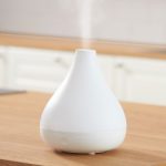 Review pe scurt: Ambient Mist Rovus